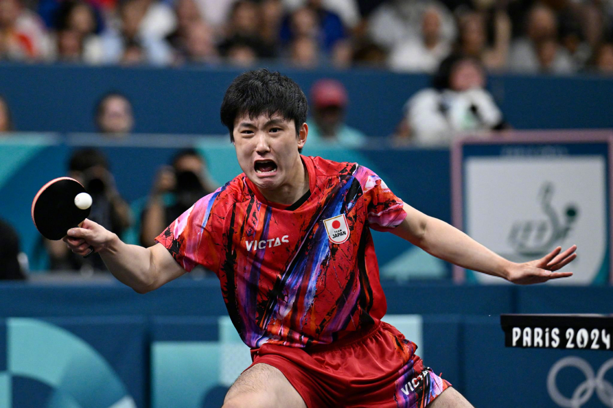 奥地利队力克日本队,张本智和带队取胜 奥地利队力克日本队,张本智和带队取胜