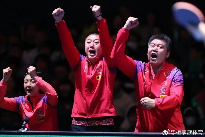 日本队横扫马来西亚队，马琳高光表现的简单介绍